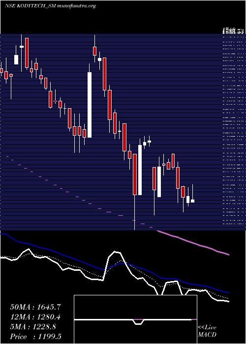  Daily chart KodyTechnolab