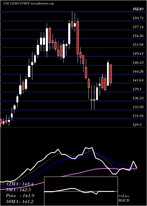  Daily chart LemonTree