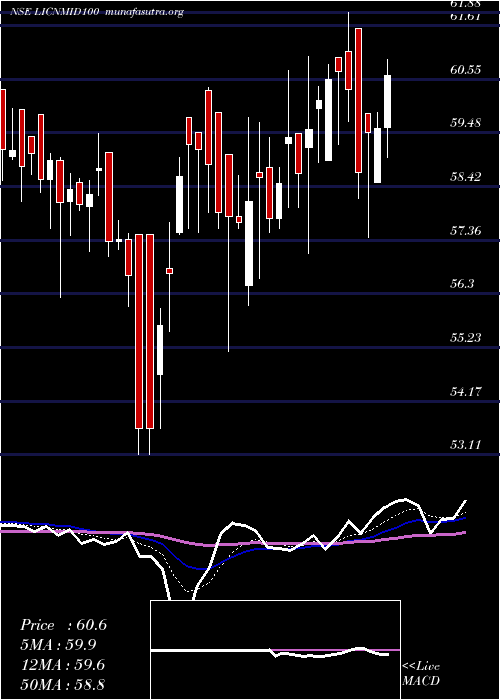  Daily chart LicnamcLicnmid100