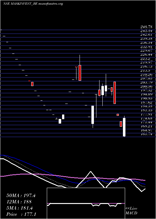  Daily chart MaskInvestments