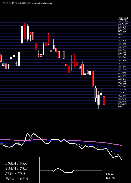  Daily chart Maxposure