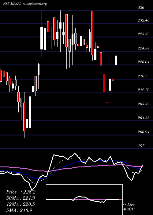  Daily chart MB