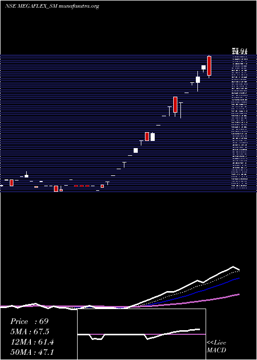  Daily chart MegaFlex