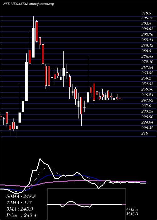  Daily chart MegastarFoods