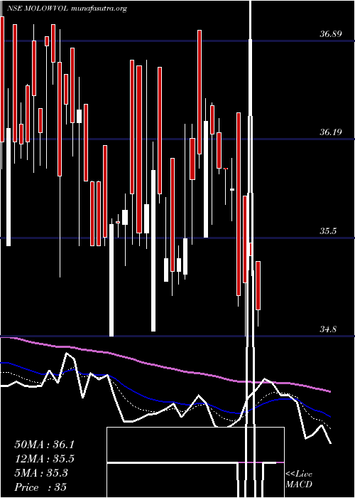  Daily chart MotilalamcMolowvol