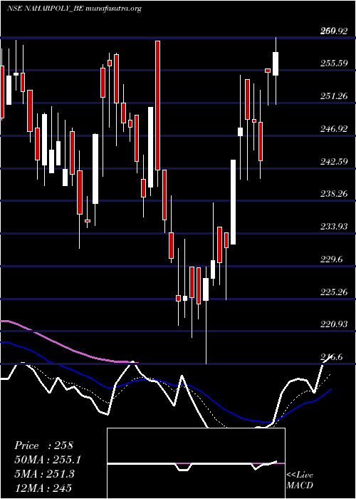  Daily chart NaharPoly