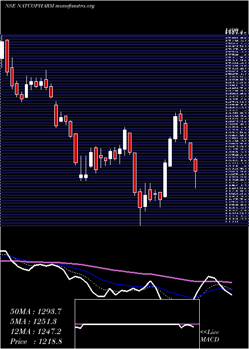  Daily chart NatcoPharma