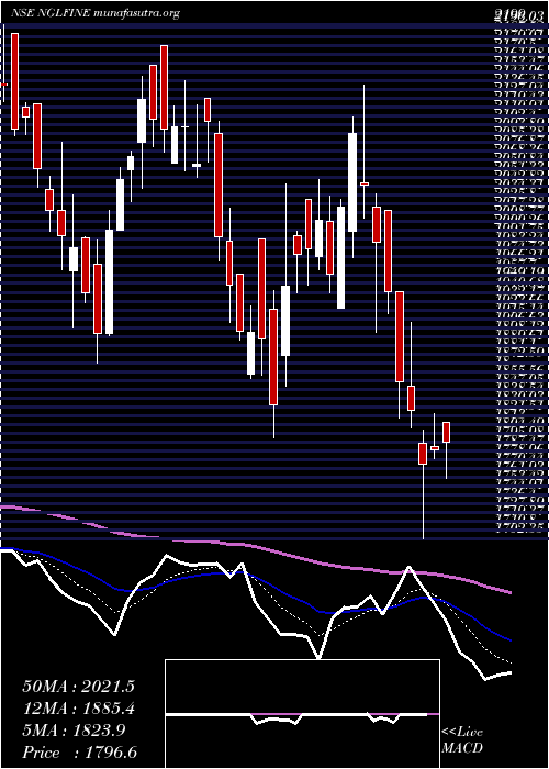  Daily chart NglFine