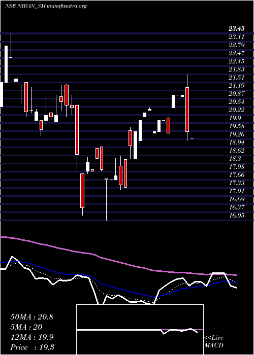  Daily chart NidanLabs