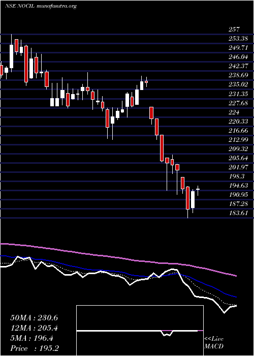  Daily chart Nocil