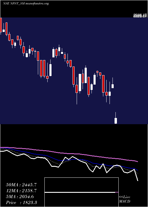  Daily chart NetworkPeople