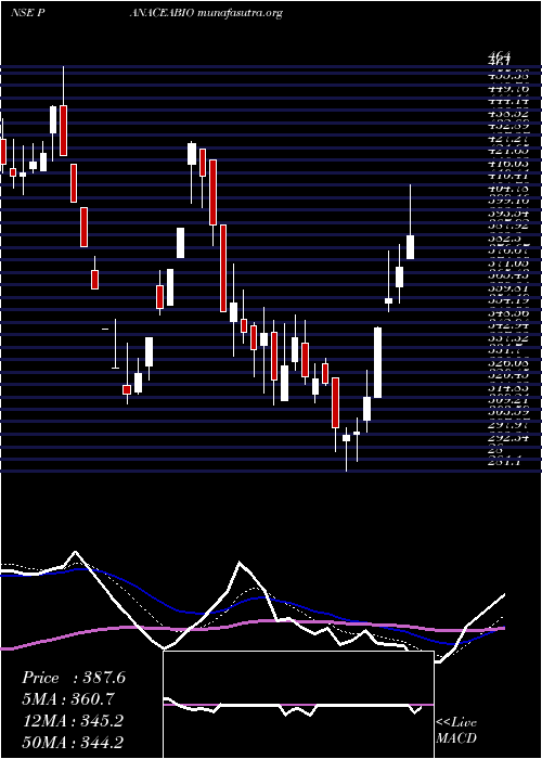  Daily chart PanaceaBiotec