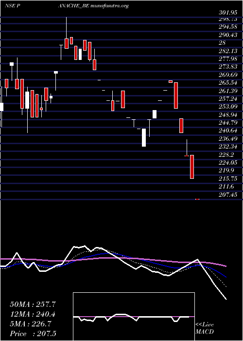 Daily chart PanacheDigilife