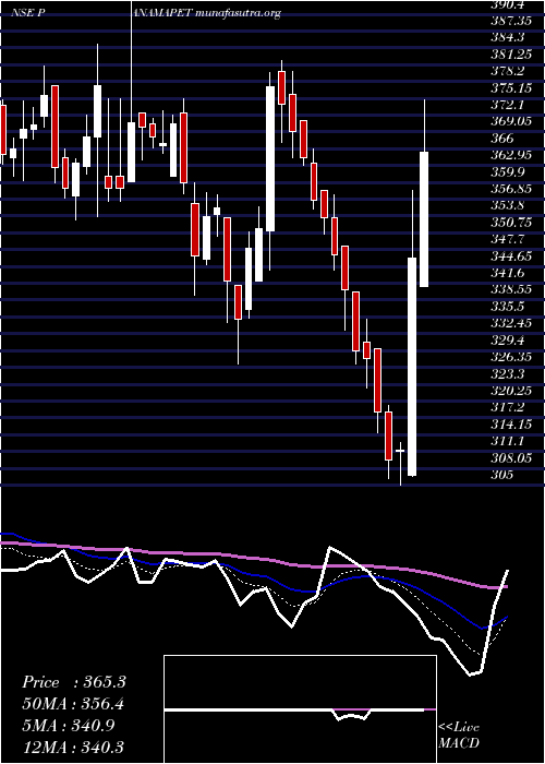  Daily chart PanamaPetrochem