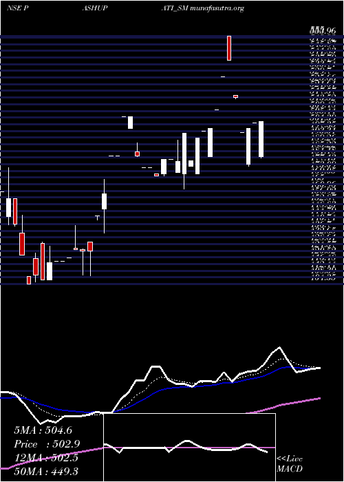  Daily chart PashupatiCotspin