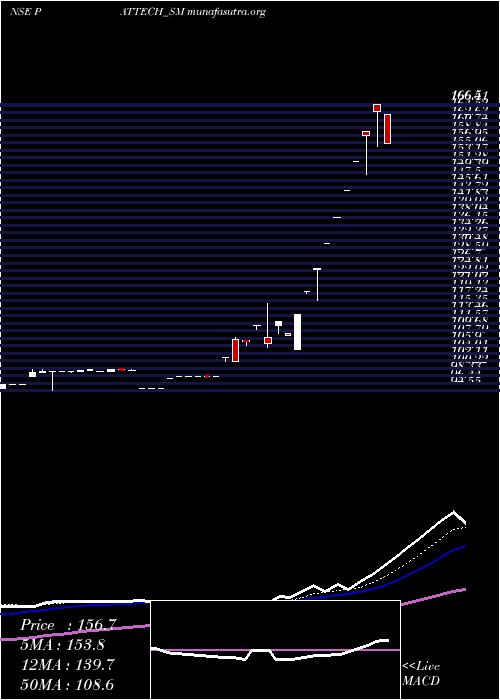  Daily chart PattechFitwell