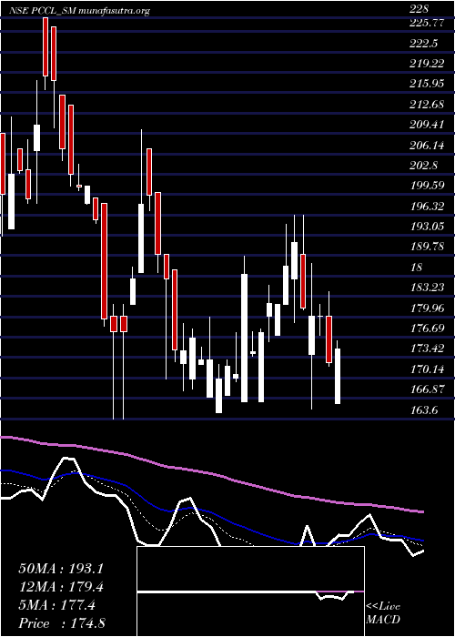  Daily chart PetroCarbon