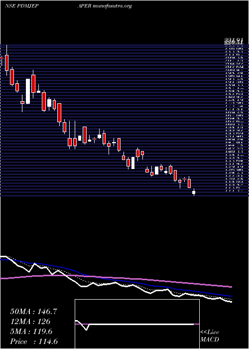  Daily chart PudumjeePaper