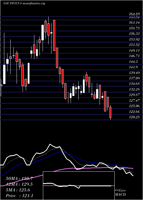  Daily chart PrimeFocus