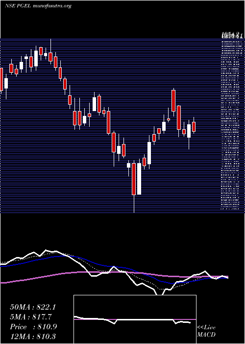  Daily chart PgElectroplast