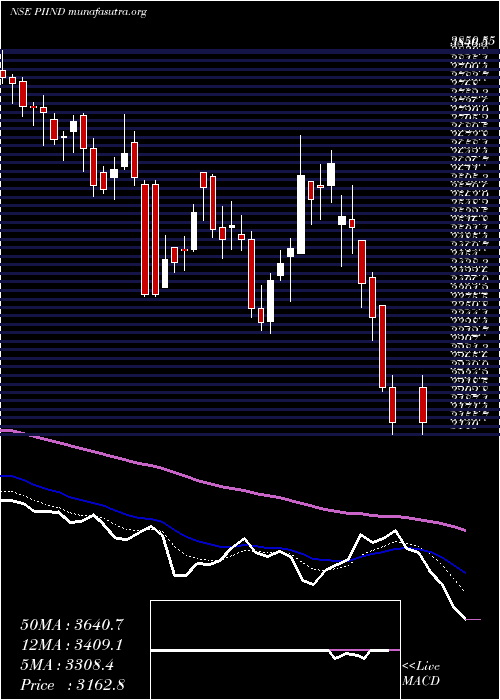  Daily chart PiIndustries