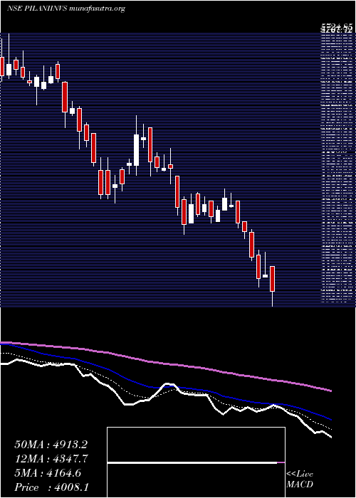  Daily chart PilaniInv