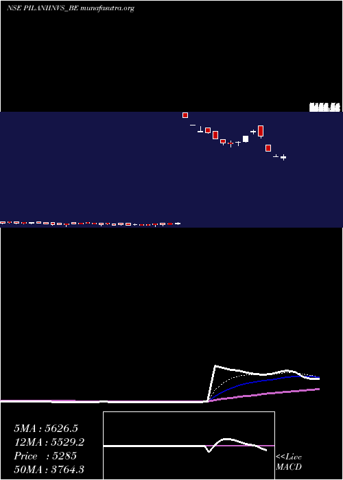  Daily chart PilaniInv