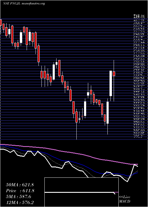  Daily chart PN