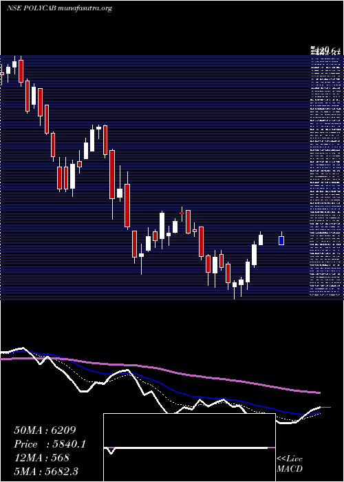  Daily chart PolycabIndia