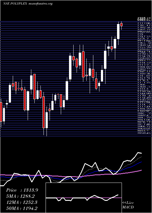  Daily chart PolyplexCorporation