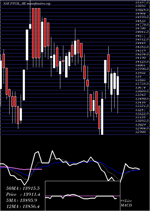  Daily chart PtcIndustries