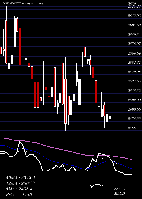  Daily chart QuantumIndex