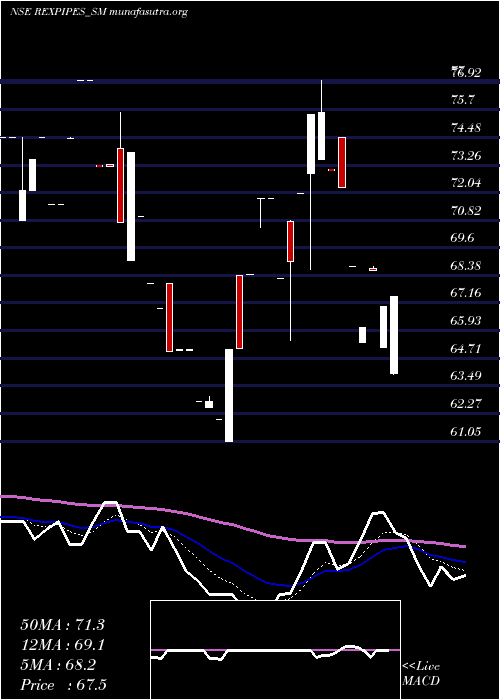  Daily chart RexPipes