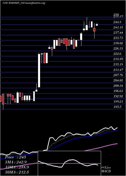  Daily chart RM