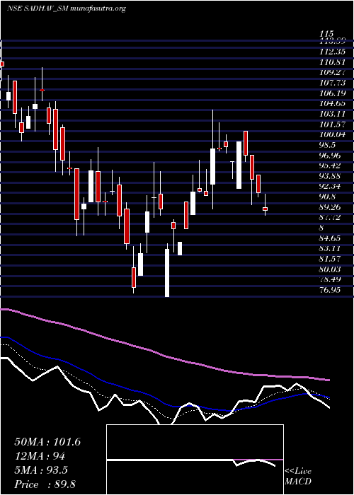  Daily chart SadhavShipping