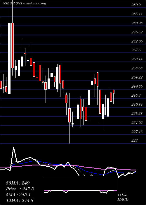  Daily chart SalonaCotspin