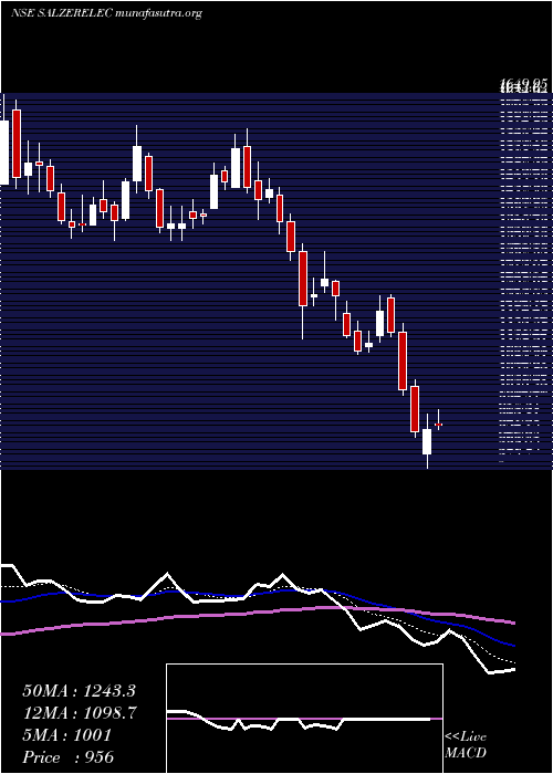  Daily chart SalzerElectronics