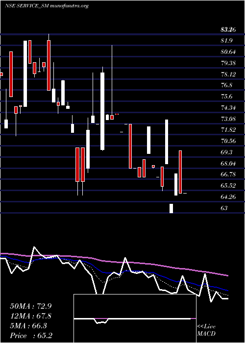  Daily chart ServiceCare