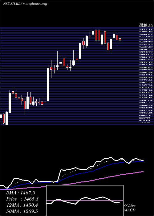  Daily chart ShailyEng