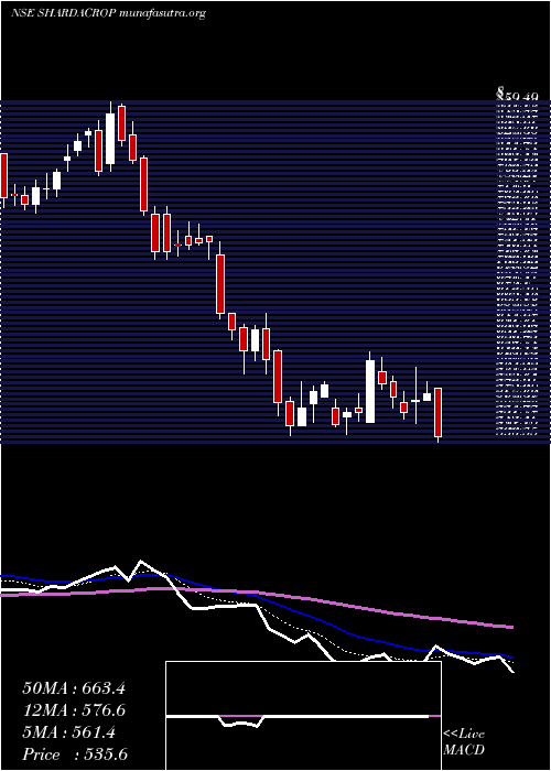  Daily chart ShardaCropchem