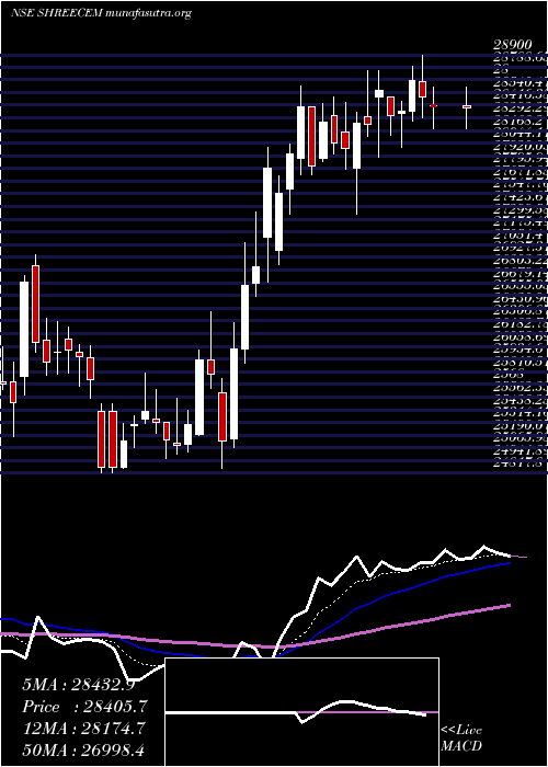  Daily chart ShreeCements