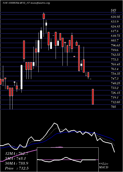  Daily chart ShreeKarni