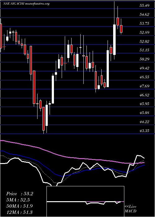  Daily chart SigachiIndustries