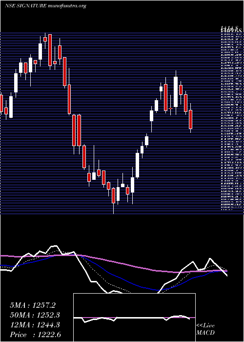  Daily chart SignatureglobalIndia