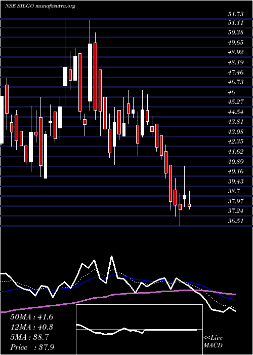  Daily chart SilgoRetail