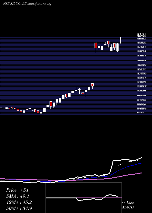  Daily chart SilgoRetail