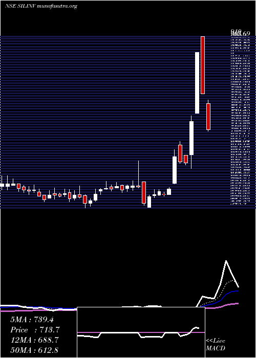  Daily chart SilInvestments