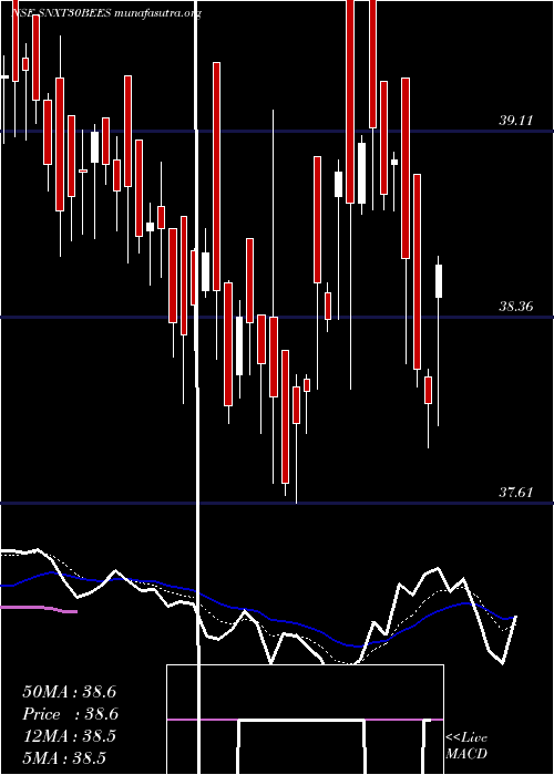  Daily chart NipponamcSnxt30bees