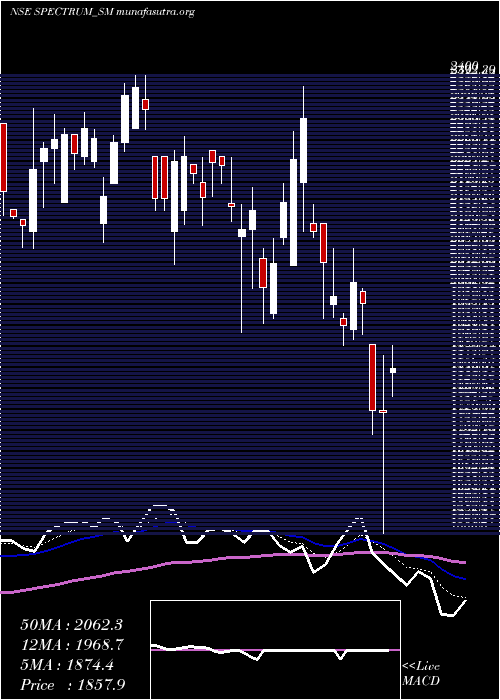  Daily chart SpectrumElectric