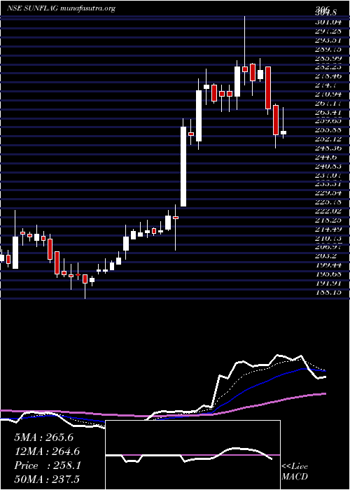  Daily chart SunflagIron